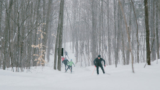 Summer Olympians Winter Passion – cross-country skiing