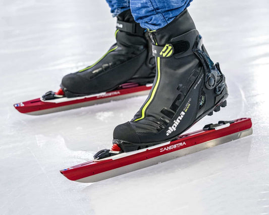 Zandstra Buyer's Guide