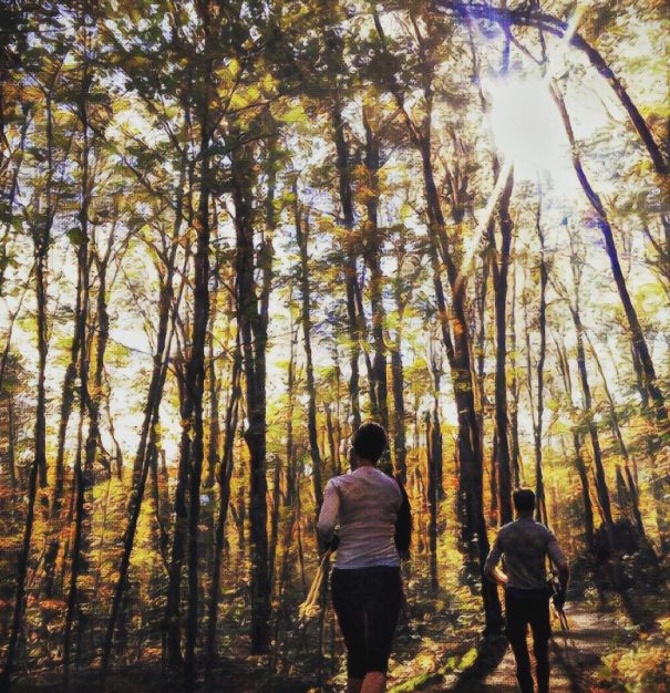 Late Fall Glory, Gatineau Park (XC Ottawa Instagram)
