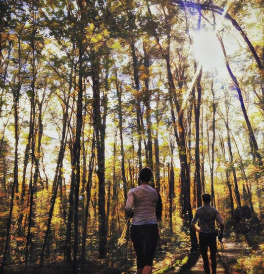 Late Fall Glory, Gatineau Park (XC Ottawa Instagram)