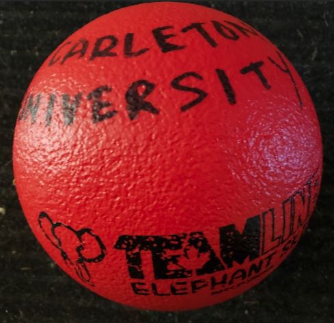 Elephant Skin ball used for Nordic Handball
